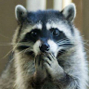 Meet your Posher, Katy